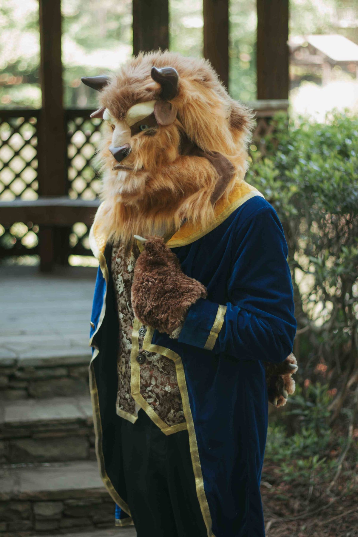 Beauty Beast Character Party