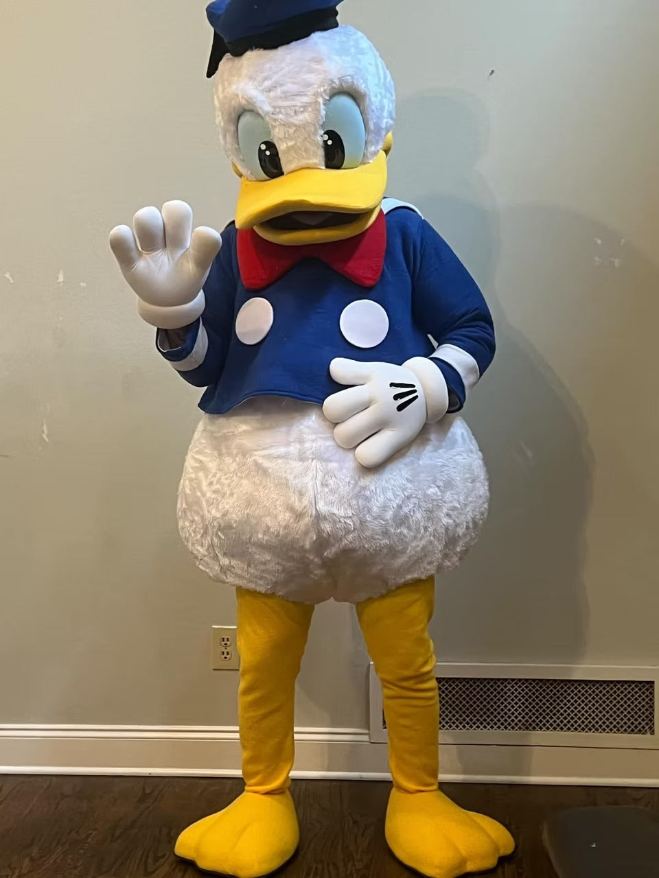 Classic Sailor Duck