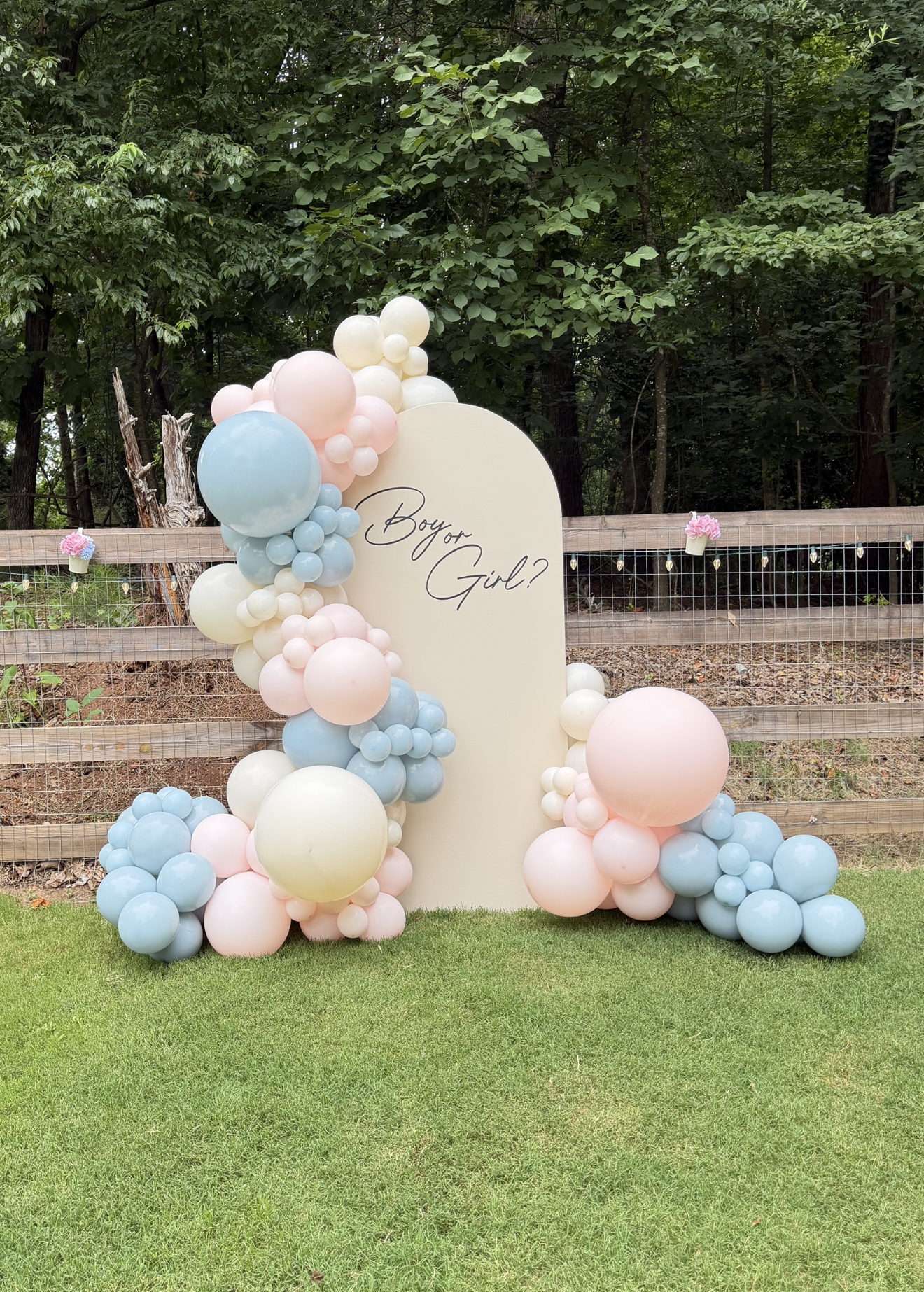 Custom 12 FT Balloon + Backdrop Bundle