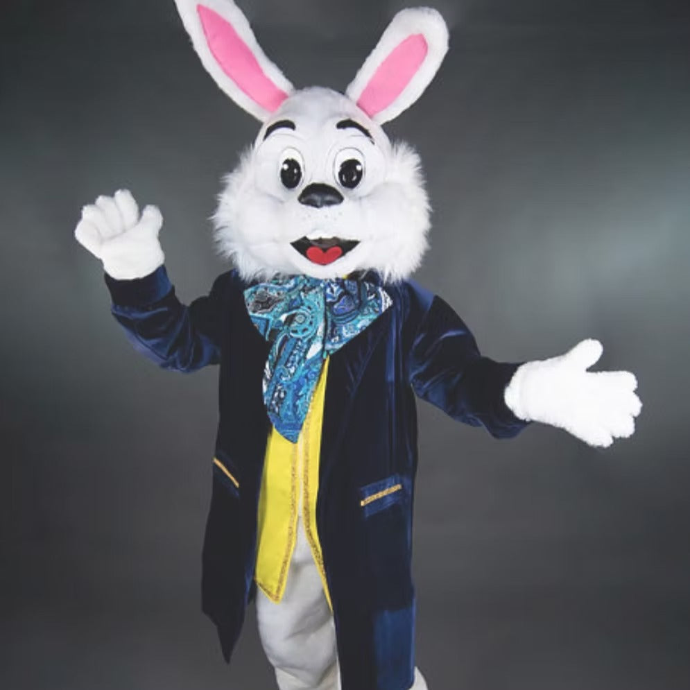 Easter Bunny Character Party