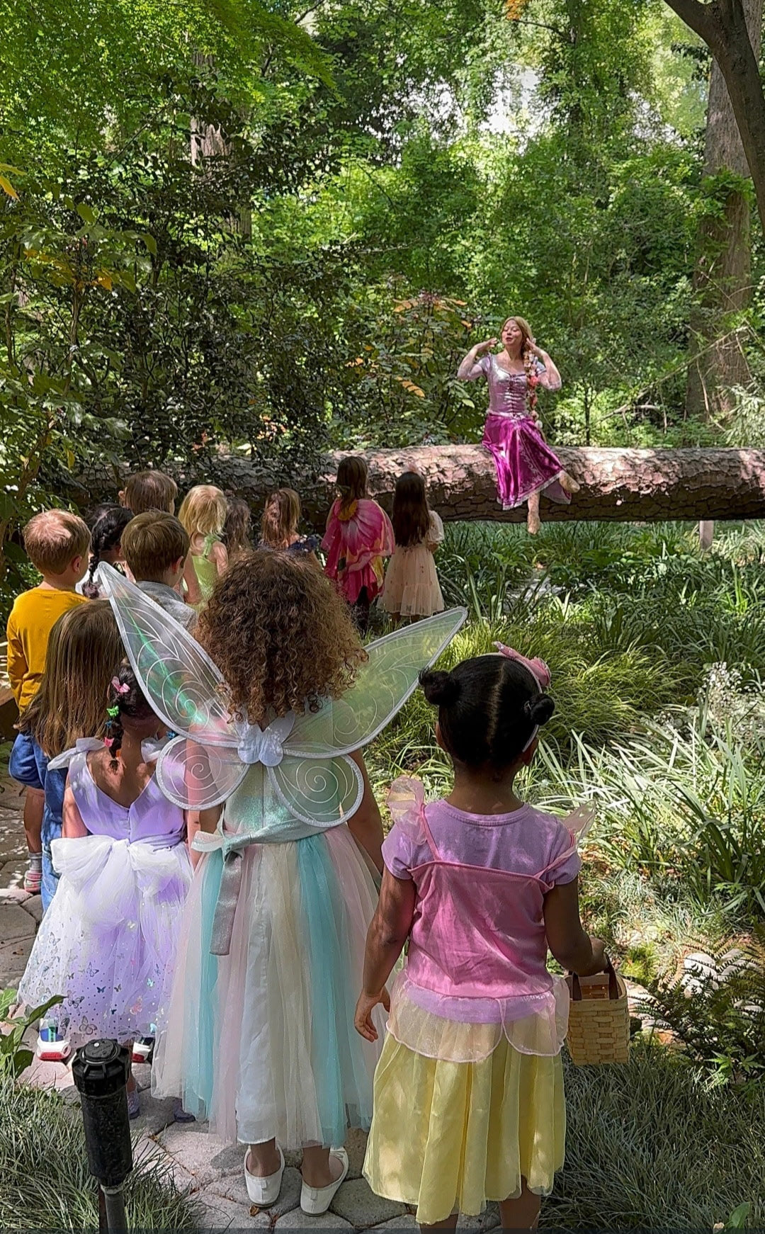 Fairy Forest Magical Party Experience