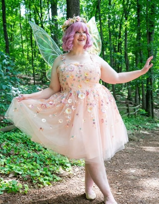 Fairy Princess Party Character