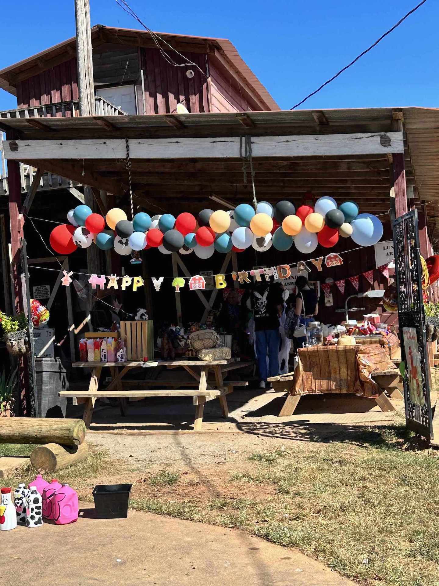 Farm Animal Birthday Party with Hay Ride and Pony Rides