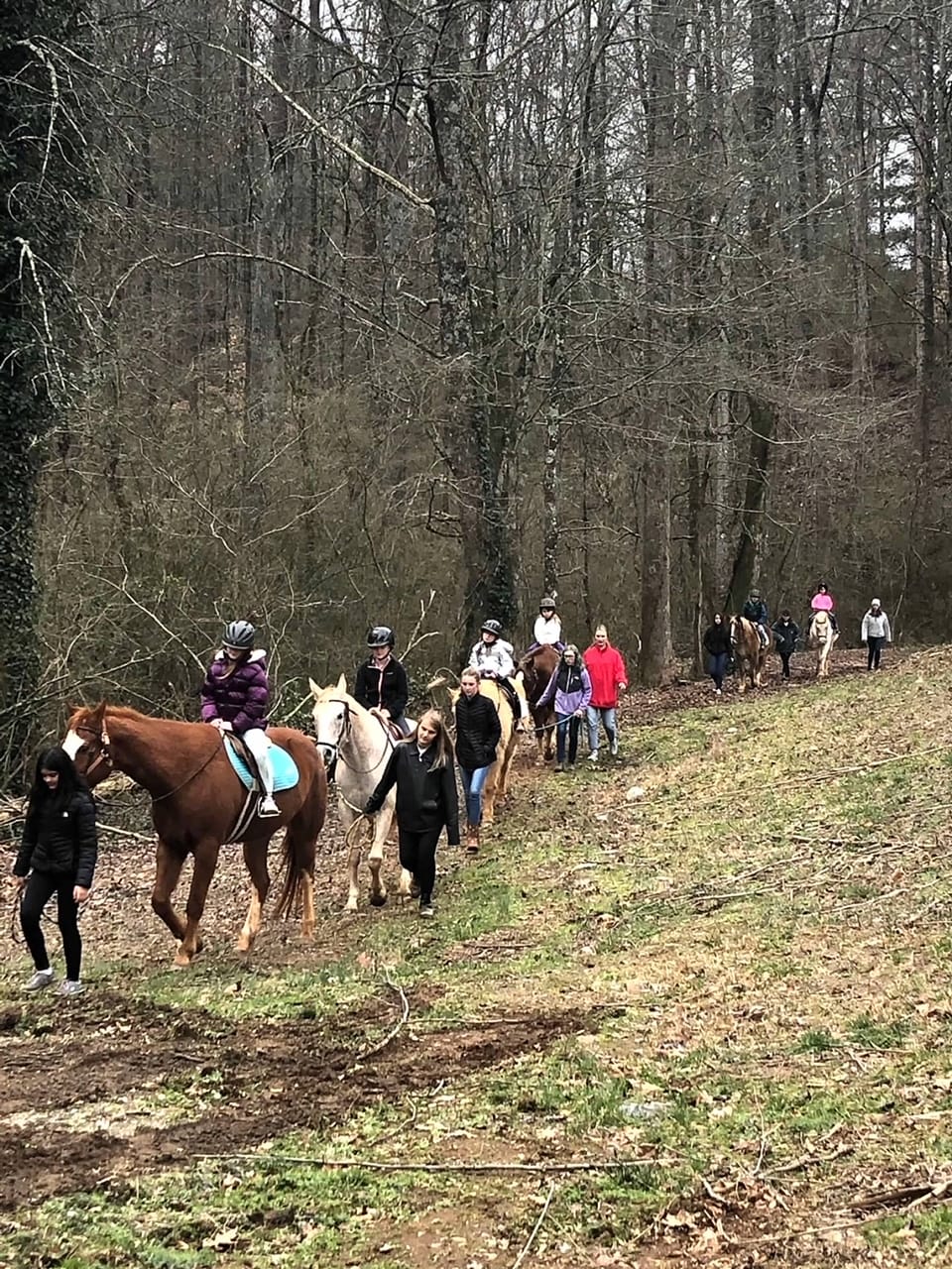 Farm Animal Birthday Party with Hay Ride and Pony Rides
