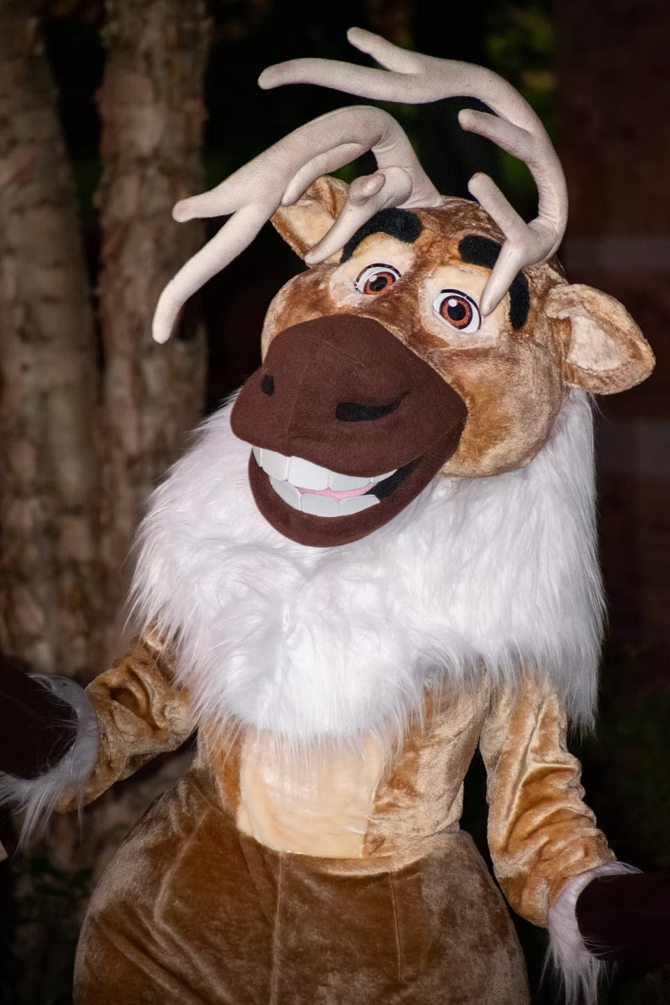 Friendly Reindeer