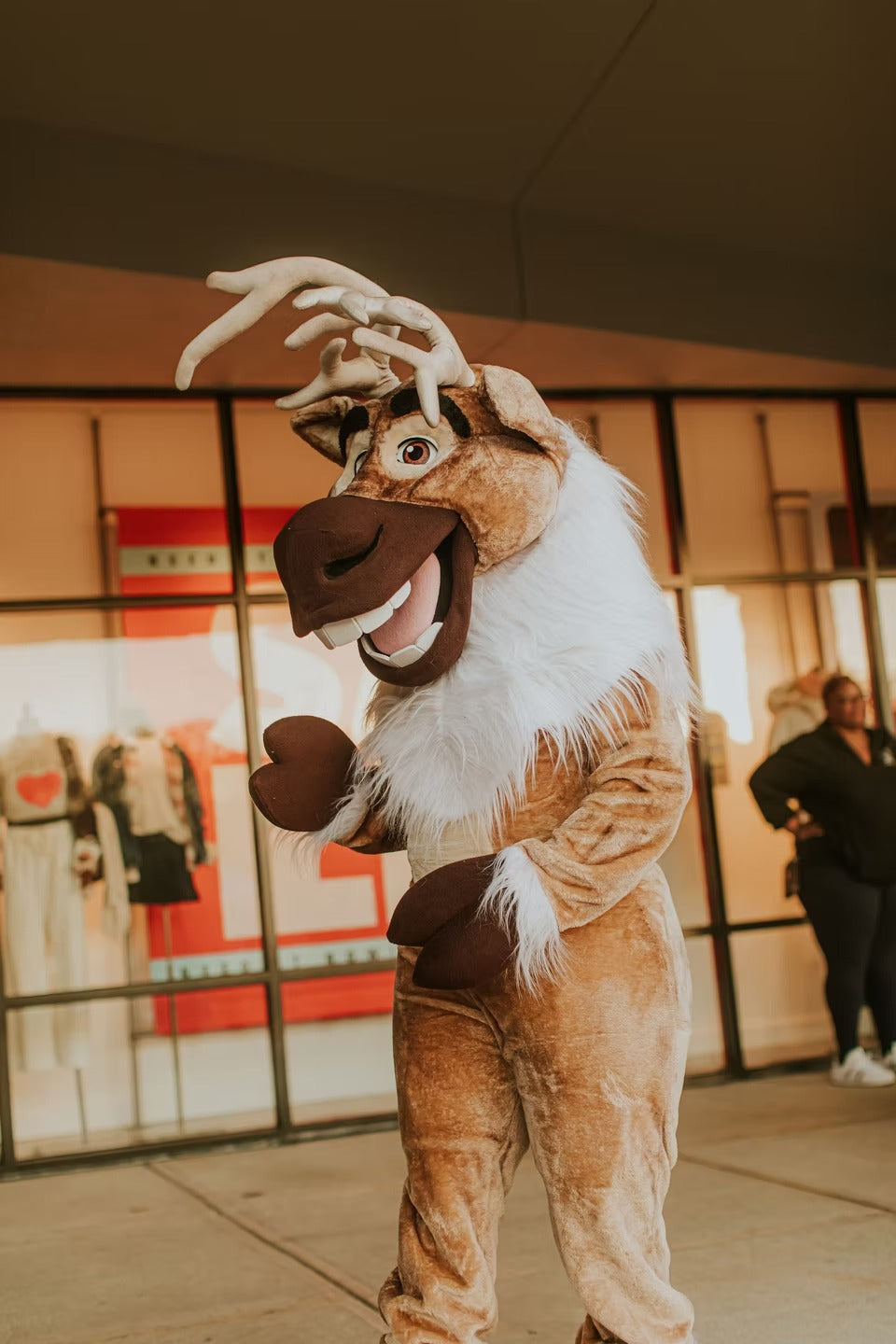 Friendly Reindeer