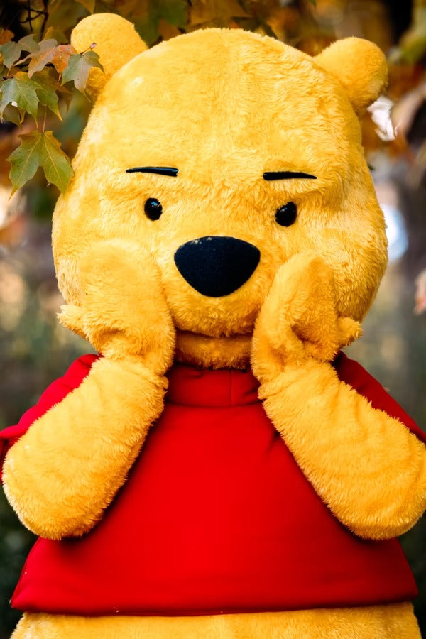 Honey Bear Character