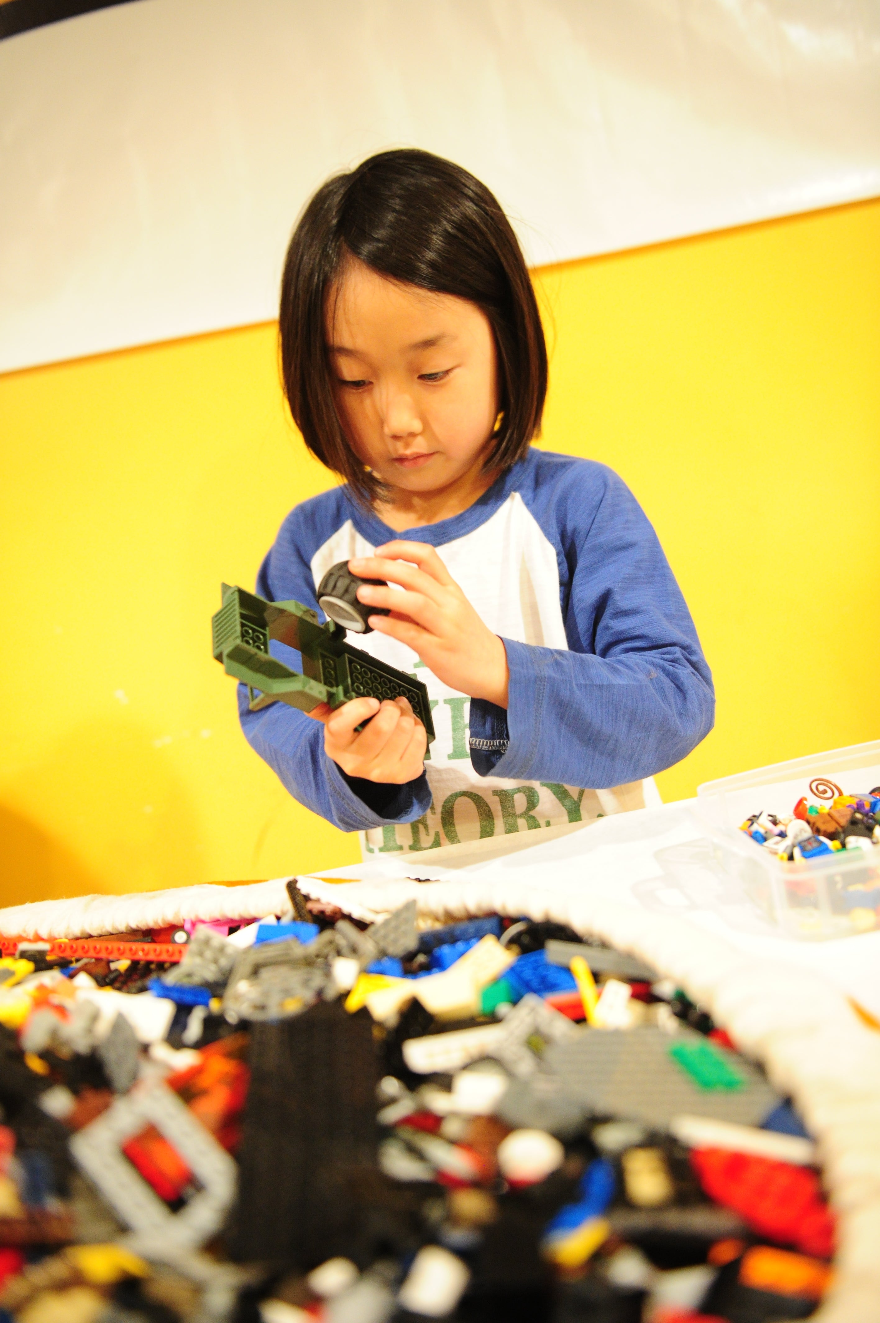 Hosted Themed Birthday Party Using LEGO® Bricks – Ages 5–10 – Johns Creek