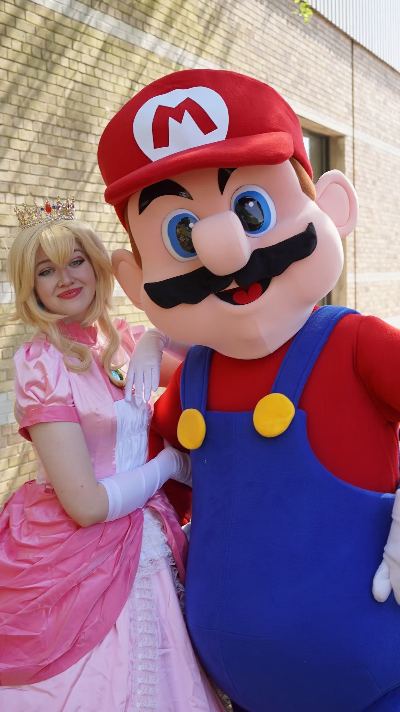 Italian Plumber Hero Character Party