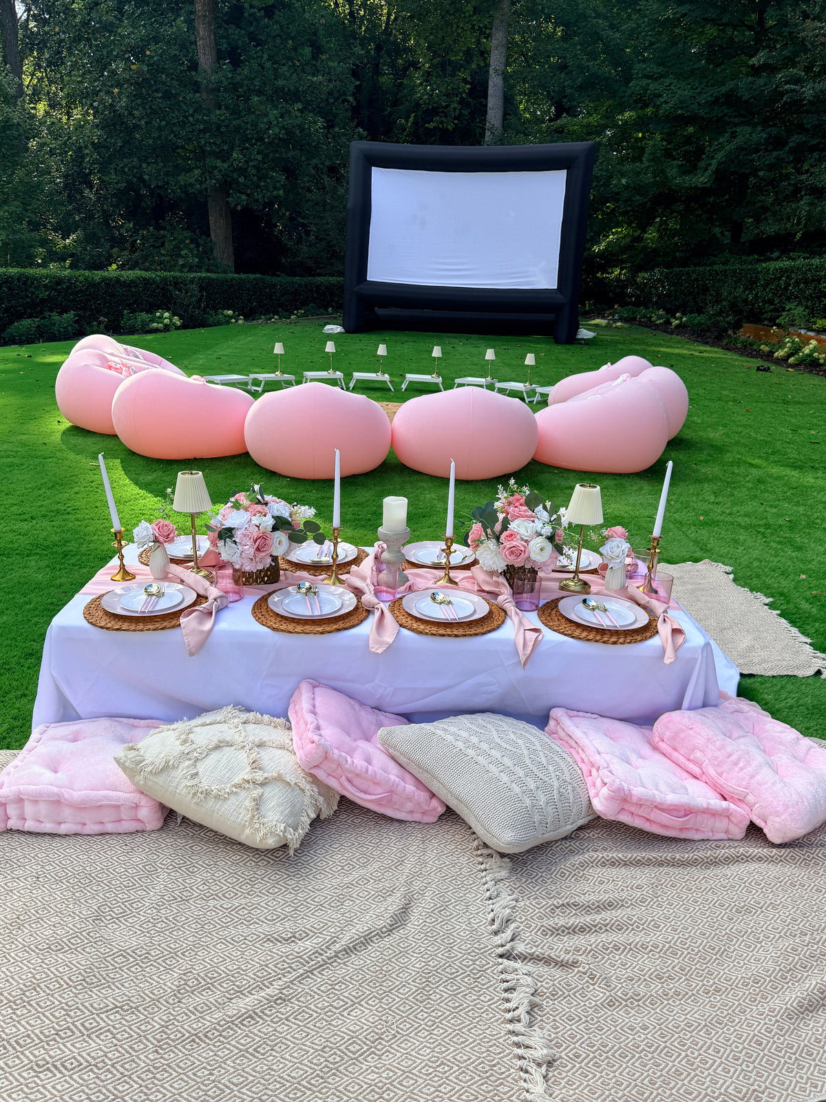 Luxury Outdoor Movie Night Experience