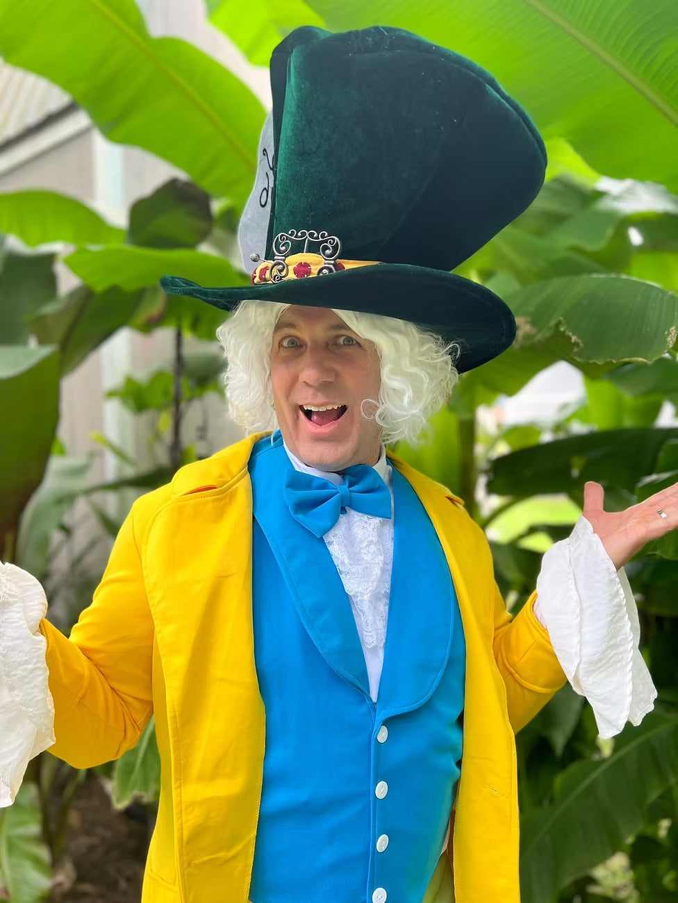 Mad Hatter - Cartoon Character Party Visit