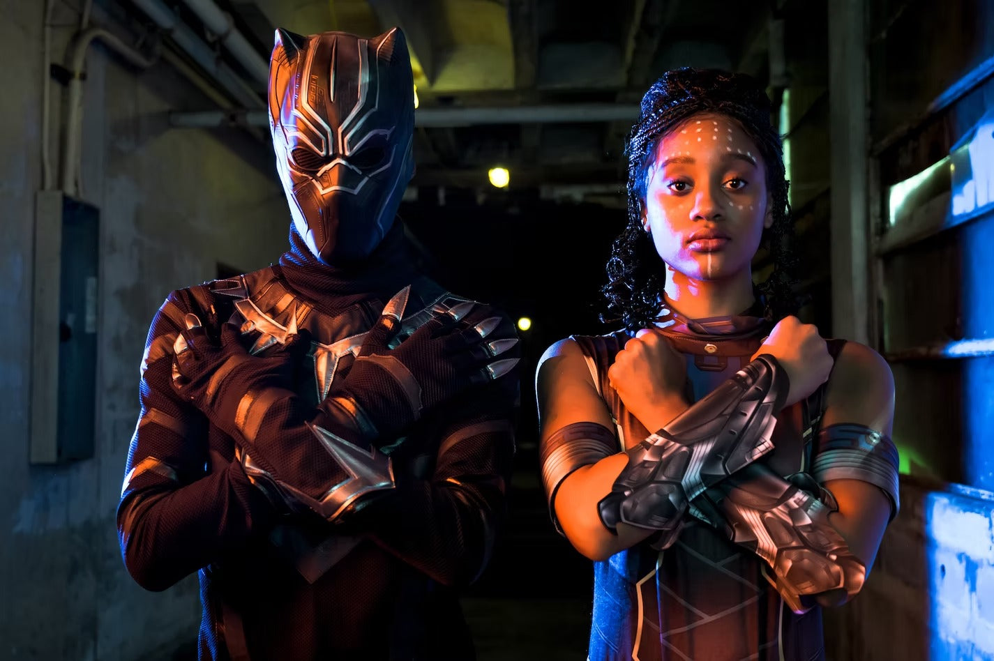 Panther Hero Character Party