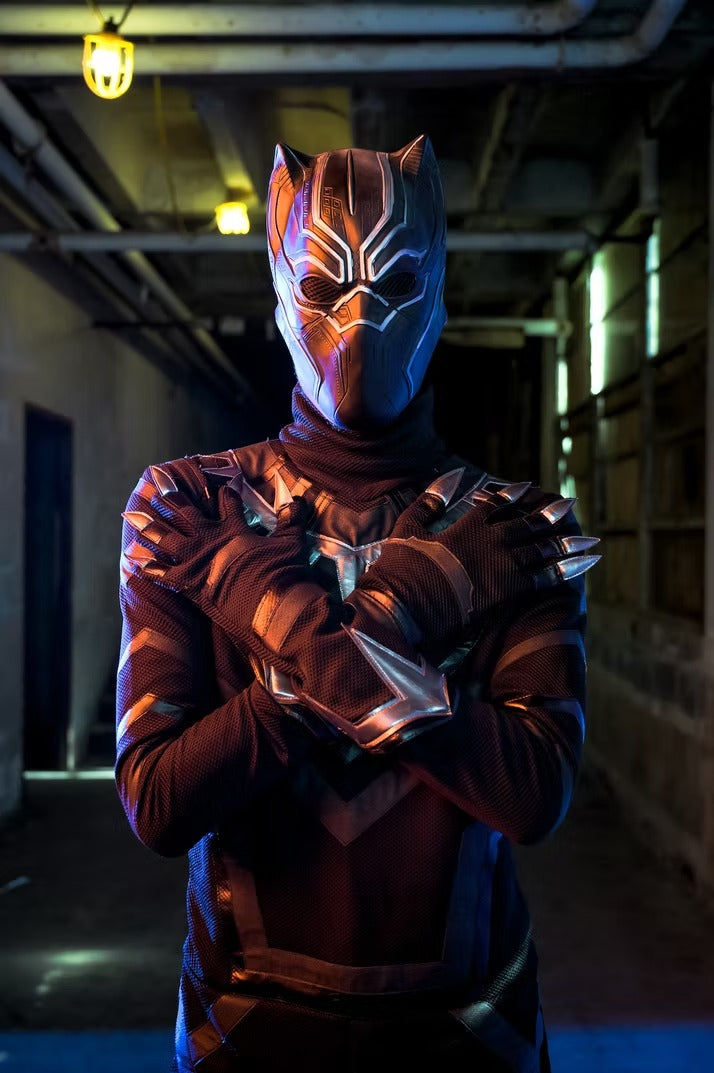 Panther Hero Character Party