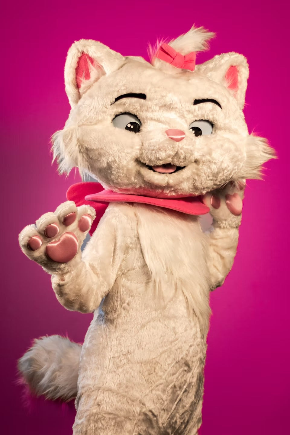 Parisian Kitten Character