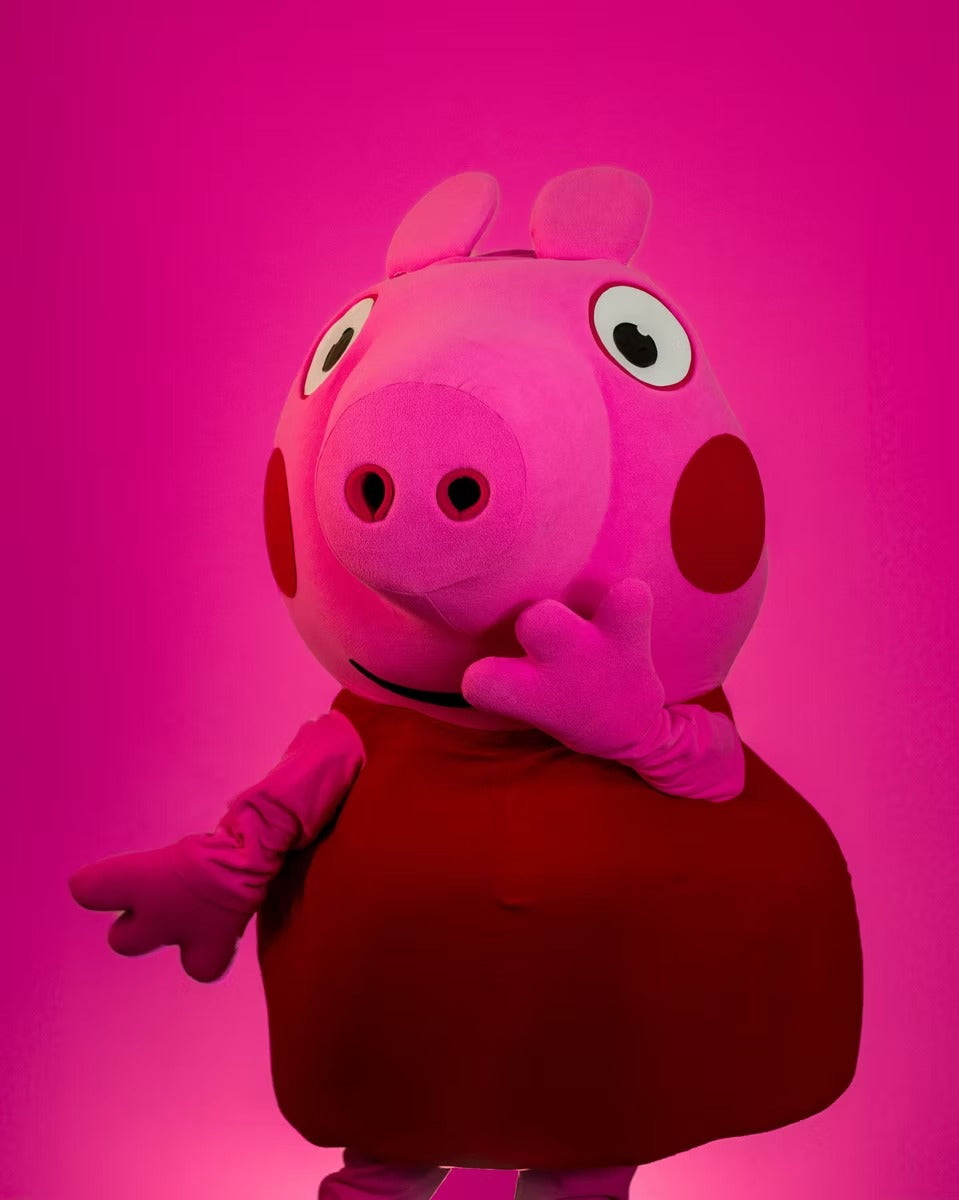 Playful Pink Piggy