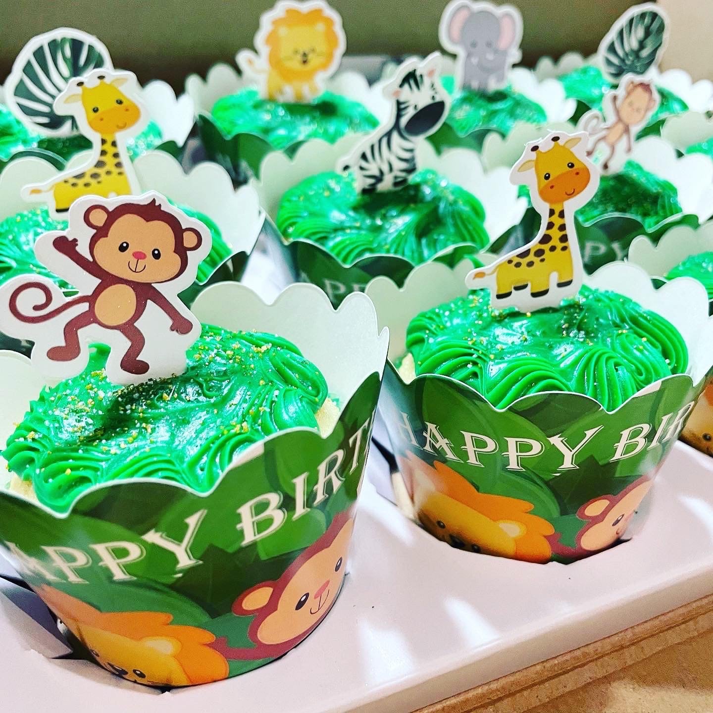 Safari Dessert Party Pack - 3 Dozen!