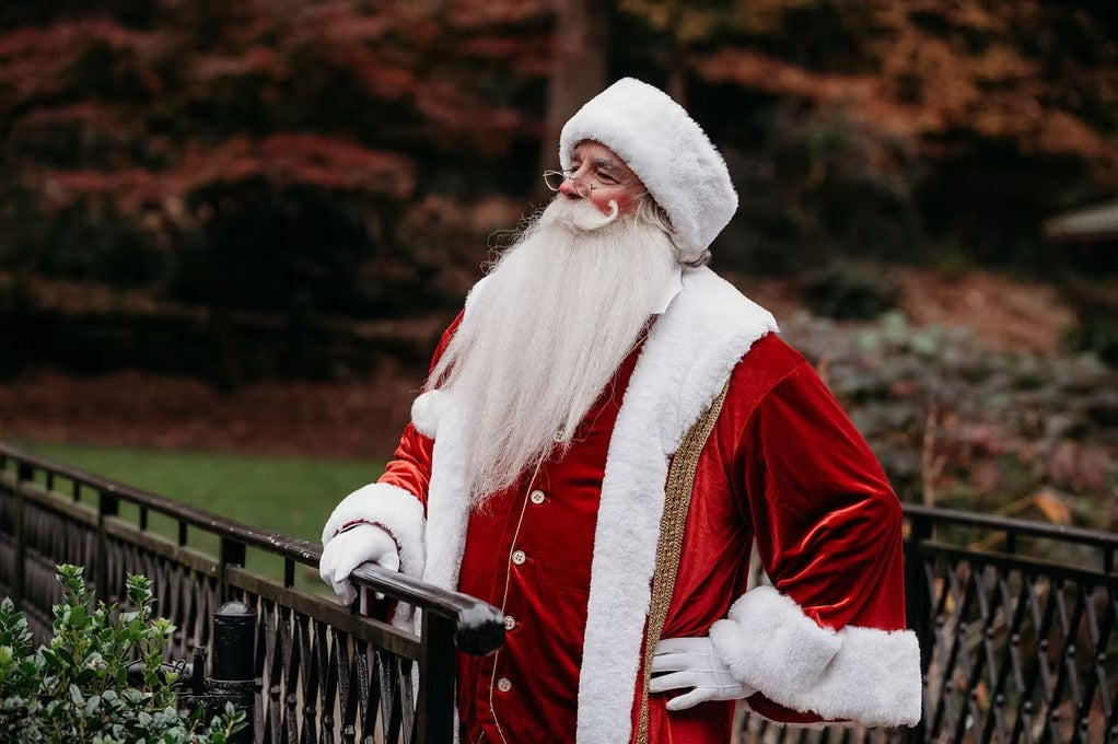 Santa Claus Character