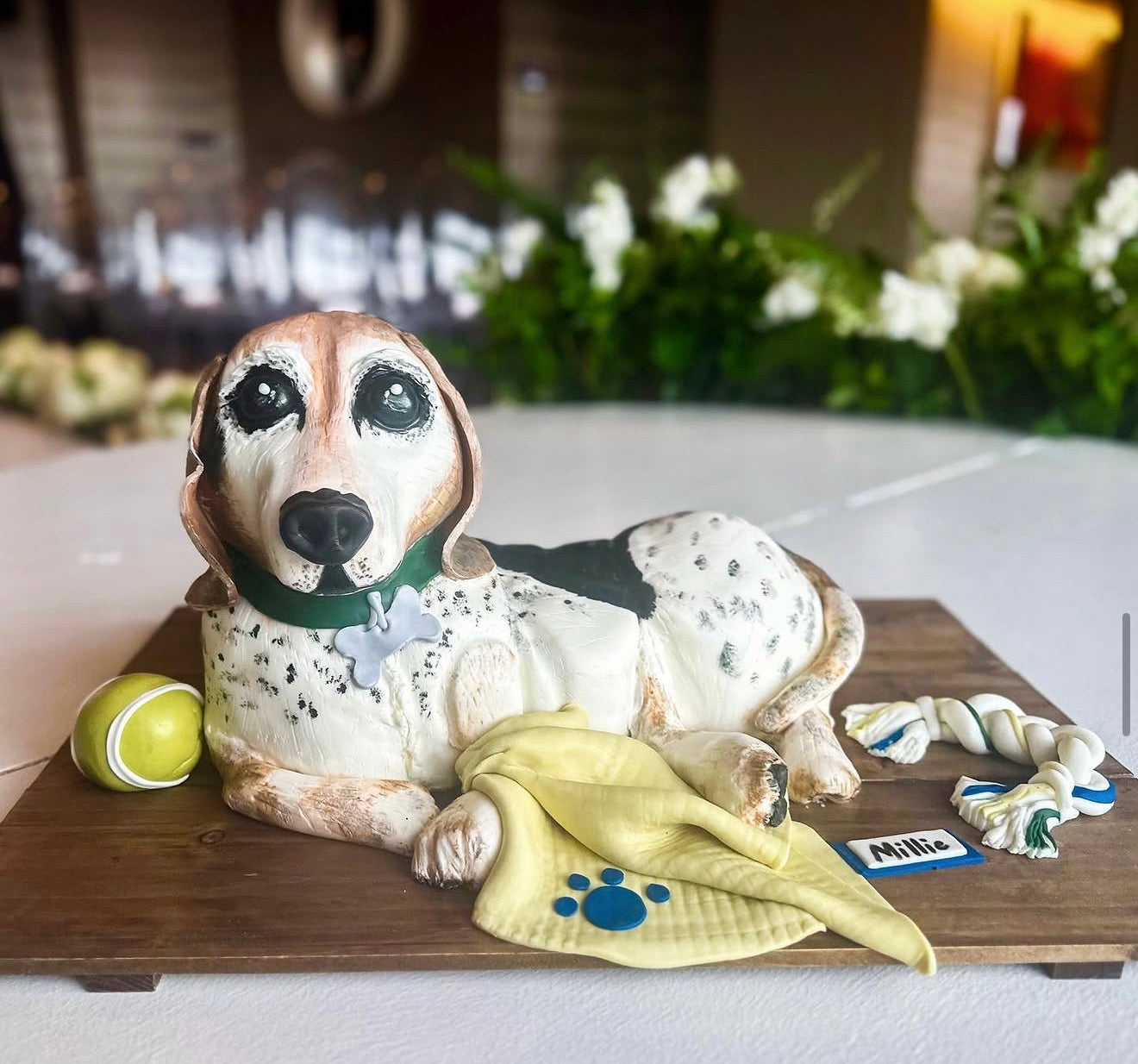 Sculpted Custom Cakes