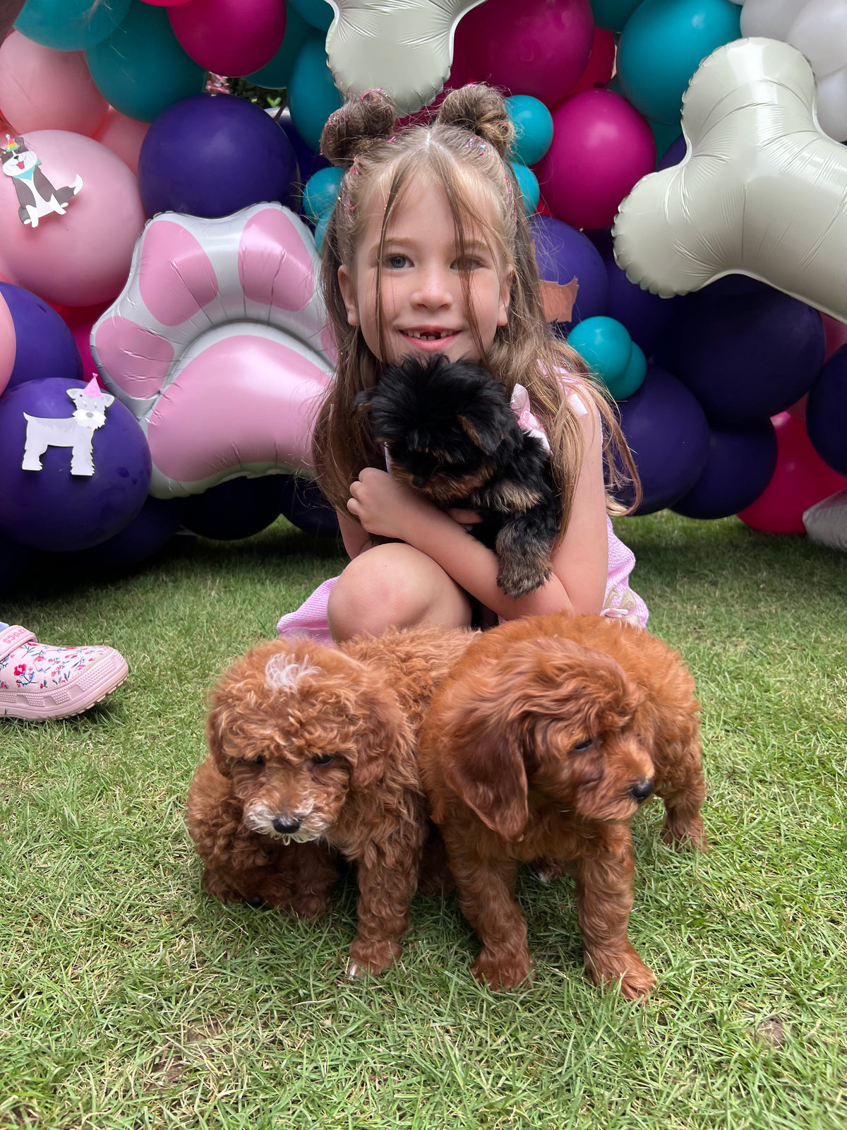 The Puppy Pawty Experience