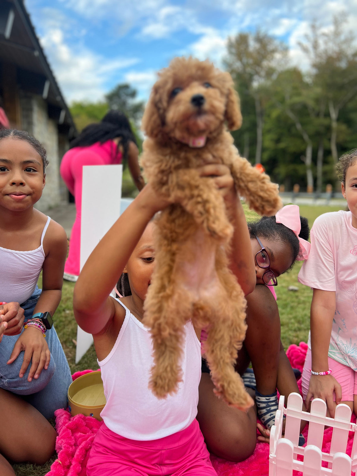 The Puppy Pawty Experience