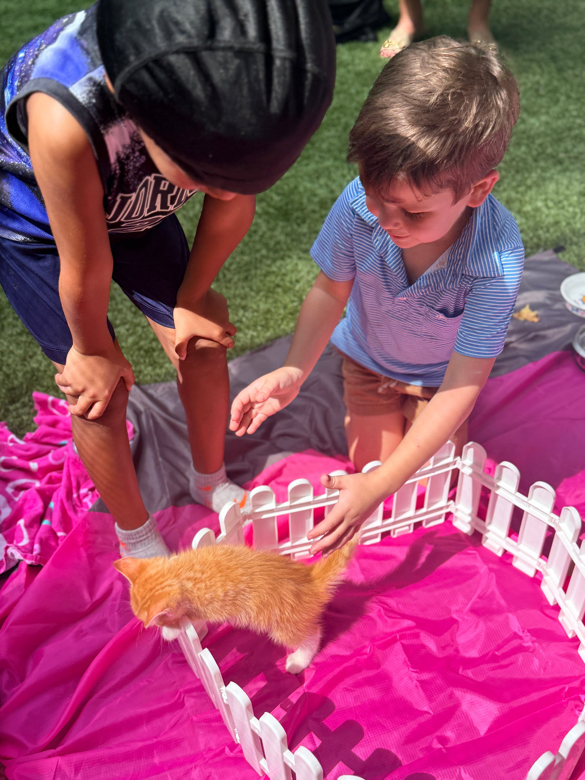 The Purrfect Party Experience- Kittens Galore!