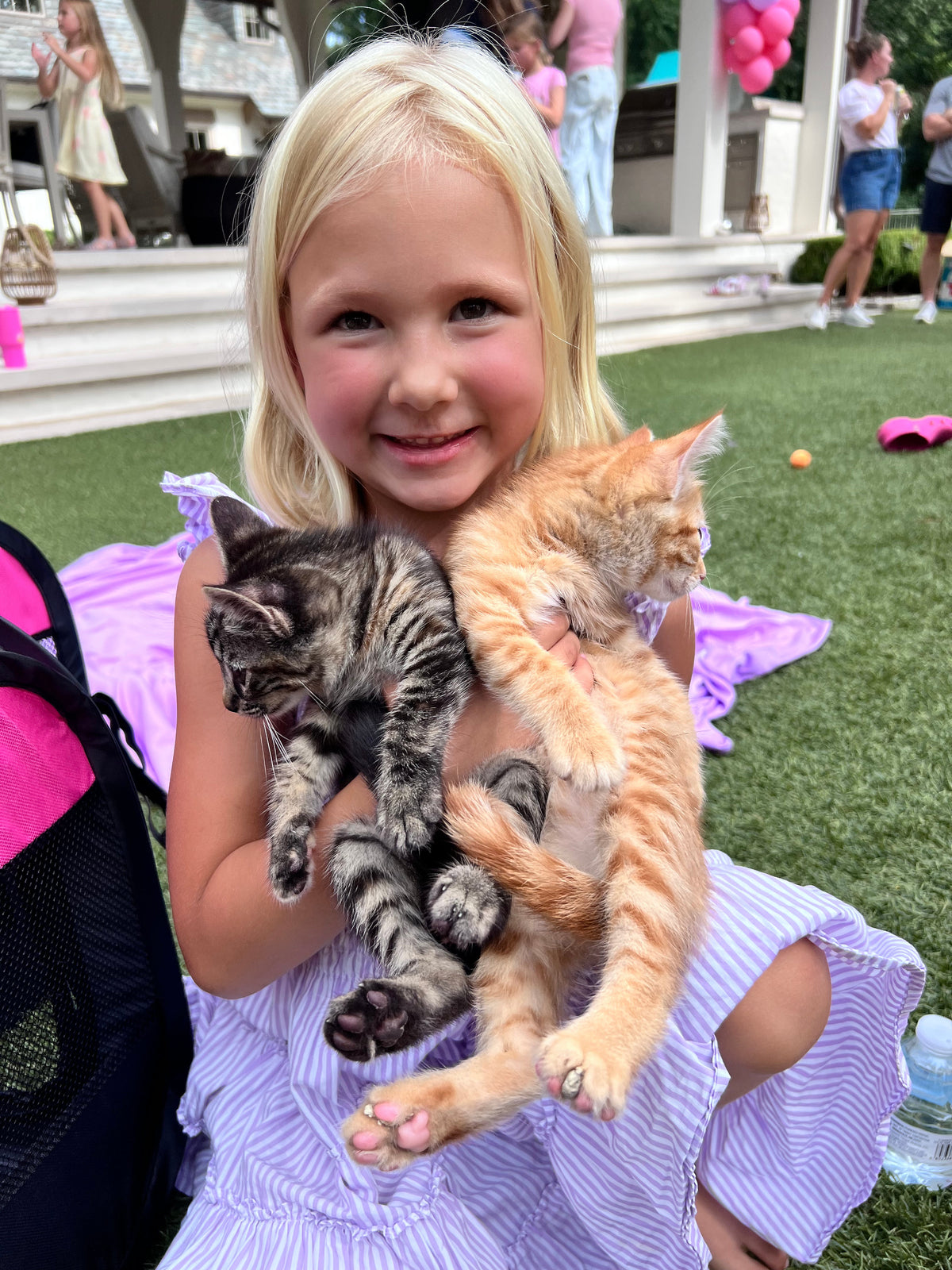 The Purrfect Party Experience- Kittens Galore!
