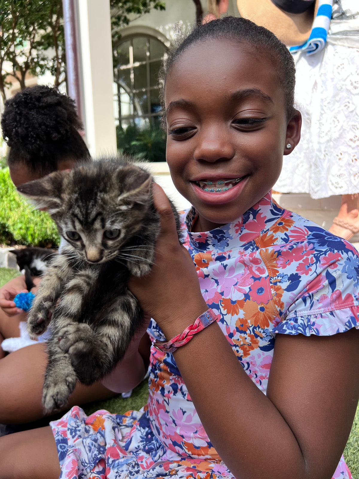 The Purrfect Party Experience- Kittens Galore!