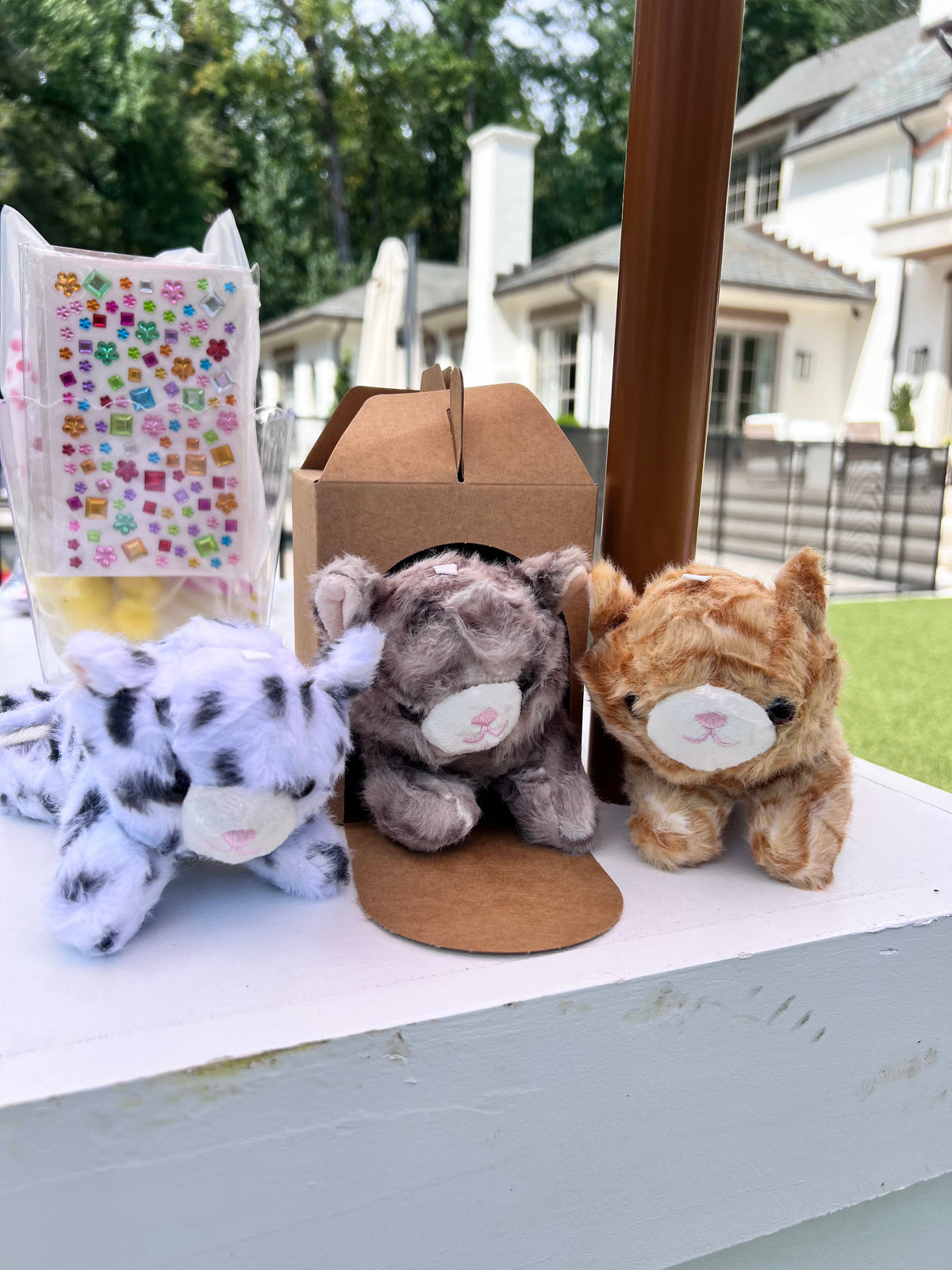 The Purrfect Party Experience- Kittens Galore!