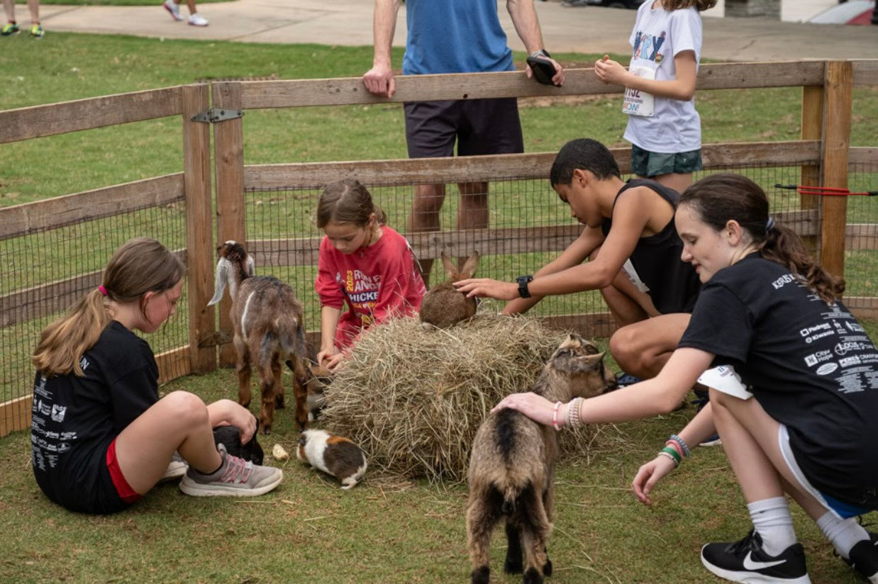 Down on the Farm with Mini Zoo Party