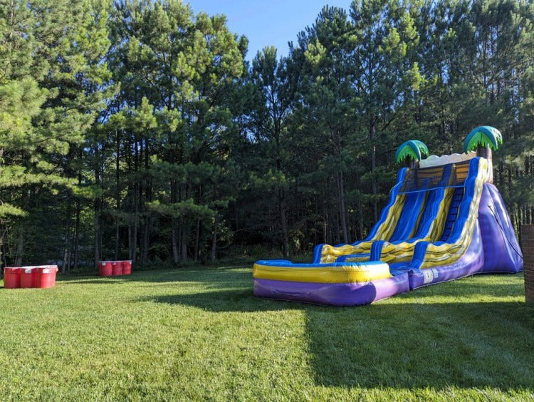 20' Tropical Blast Dual Lane Water Slide