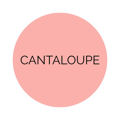 Shades Cantaloupe Dinner Plates