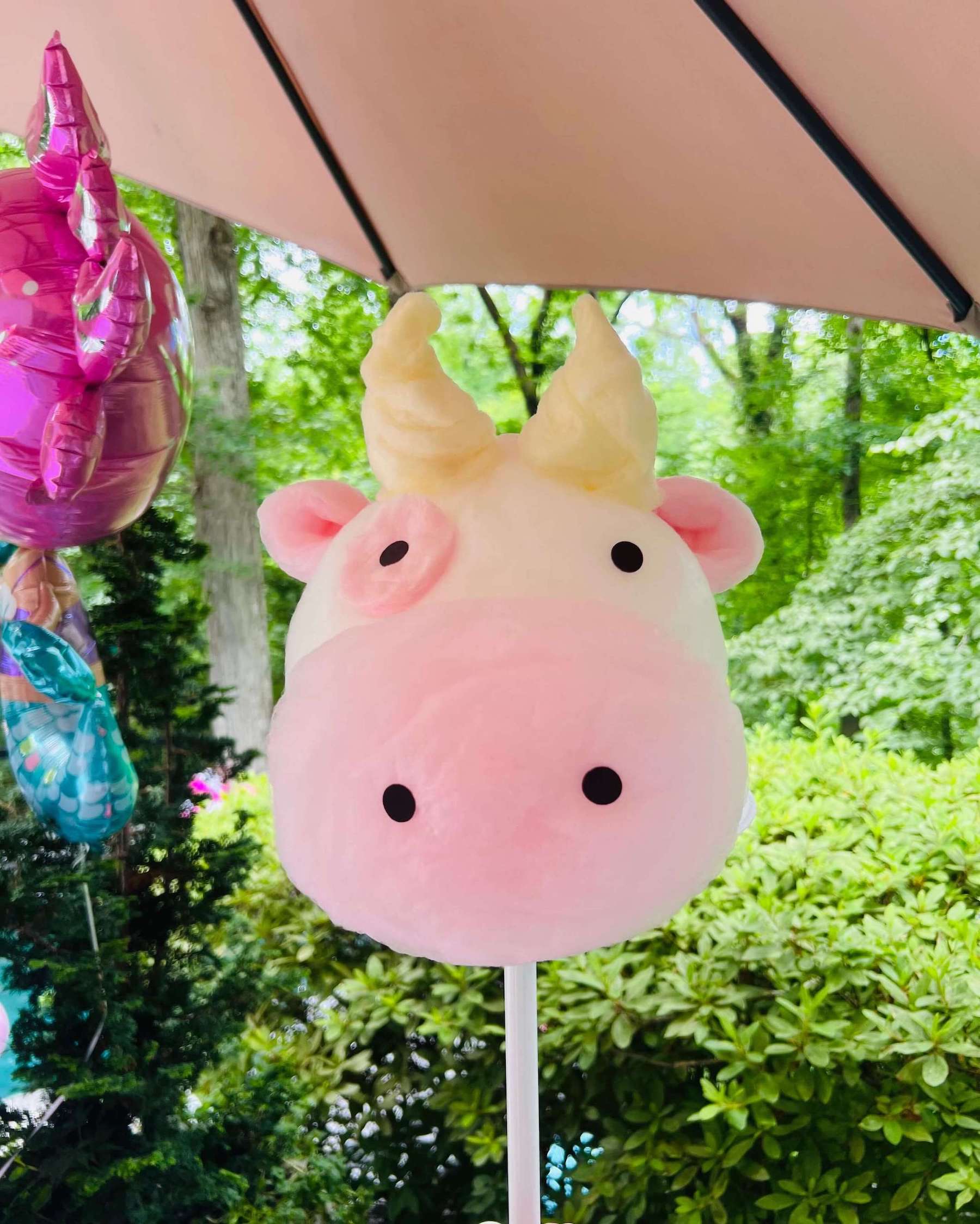 Cotton Candy Art Roswell with Pig Theme | Confetti Jar