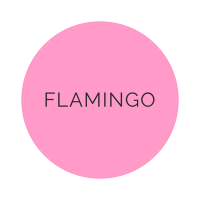 Shades Flamingo Dinner Plates