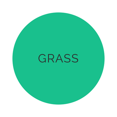 Shades Grass Dinner Plates