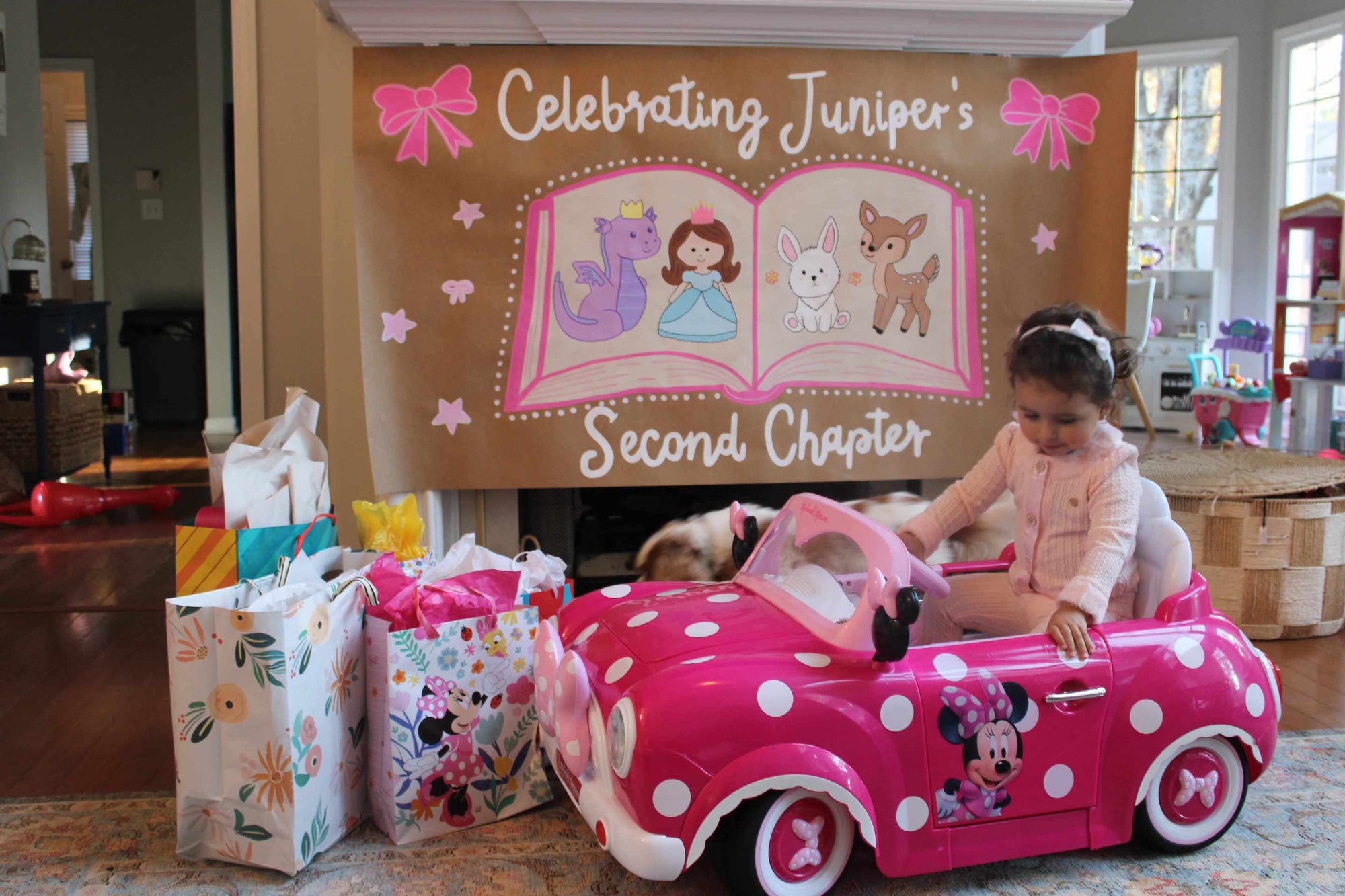Custom hand-painted banner in Atlanta for girls birthday party