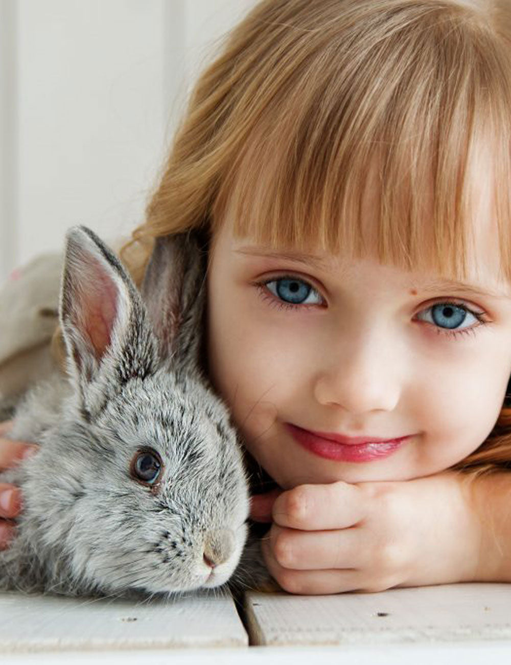 Child with blue eyes holding a gray rabbit at a Petting Zoo Party in Atlanta