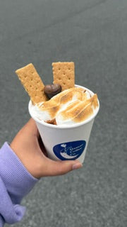 Hand holding a cup of ice cream with graham crackers against a gray background