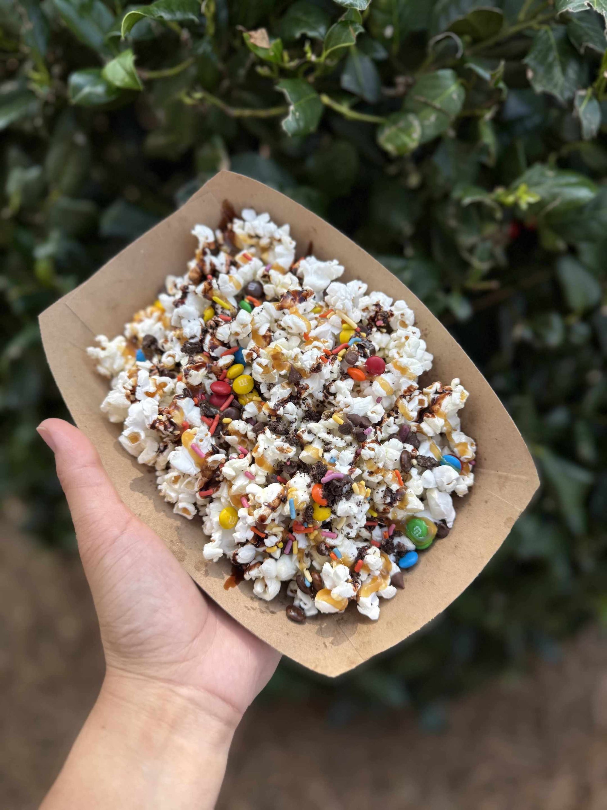 Hand holding a paper container of popcorn with colorful toppings against a green leafy background | Popcorn Cart Atlanta | Confetti Jar