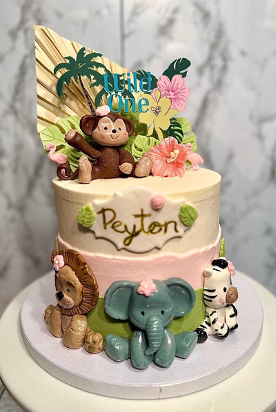 Wild One | First Birthday Cake | Confetti Jar