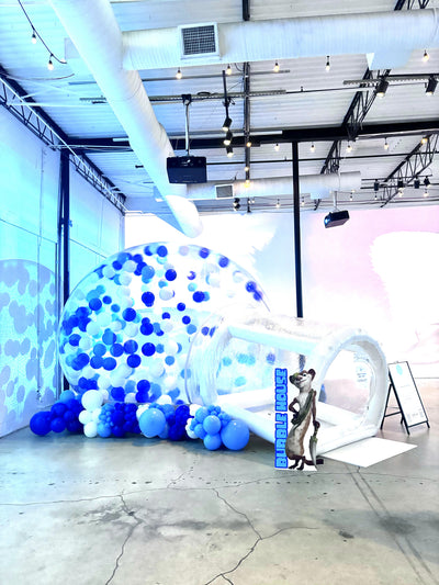 Allani Party Package: Bumper Cars, Bubble House, Bounce House