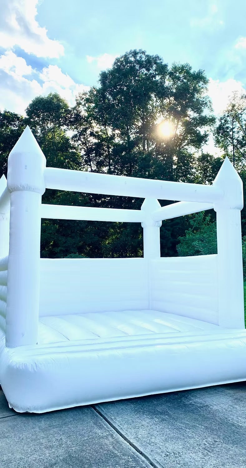 Amani Party Package: Ball Pit & White Bounce House Rental