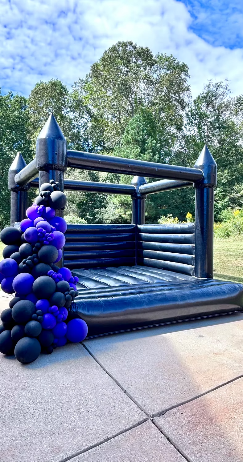 Amani Party Package: Ball Pit & White Bounce House Rental