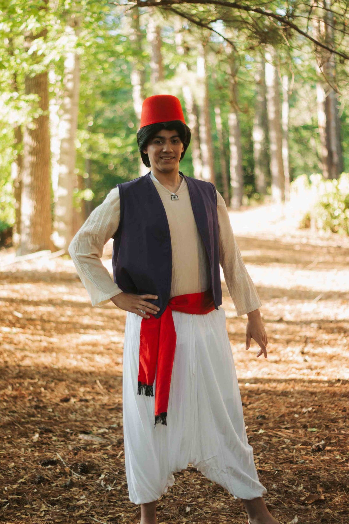 Arabian Prince