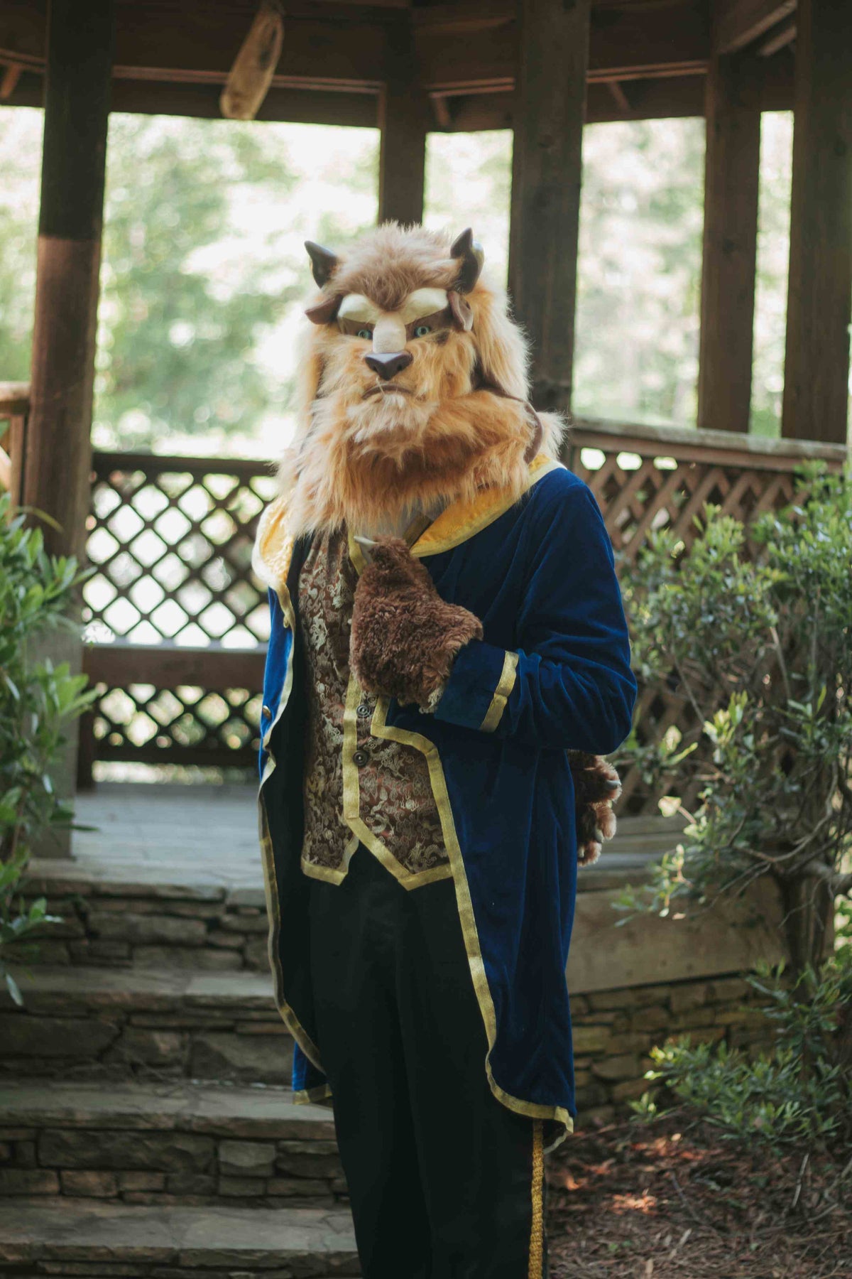 Beauty Beast Character Party