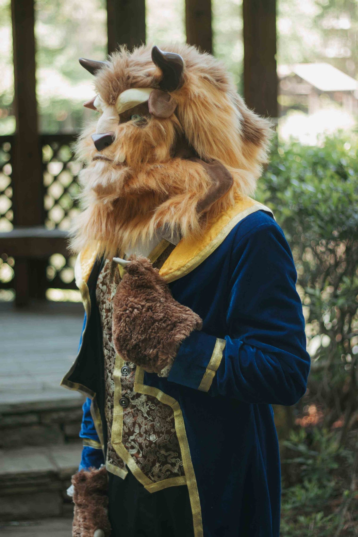 Beauty Beast Character Party