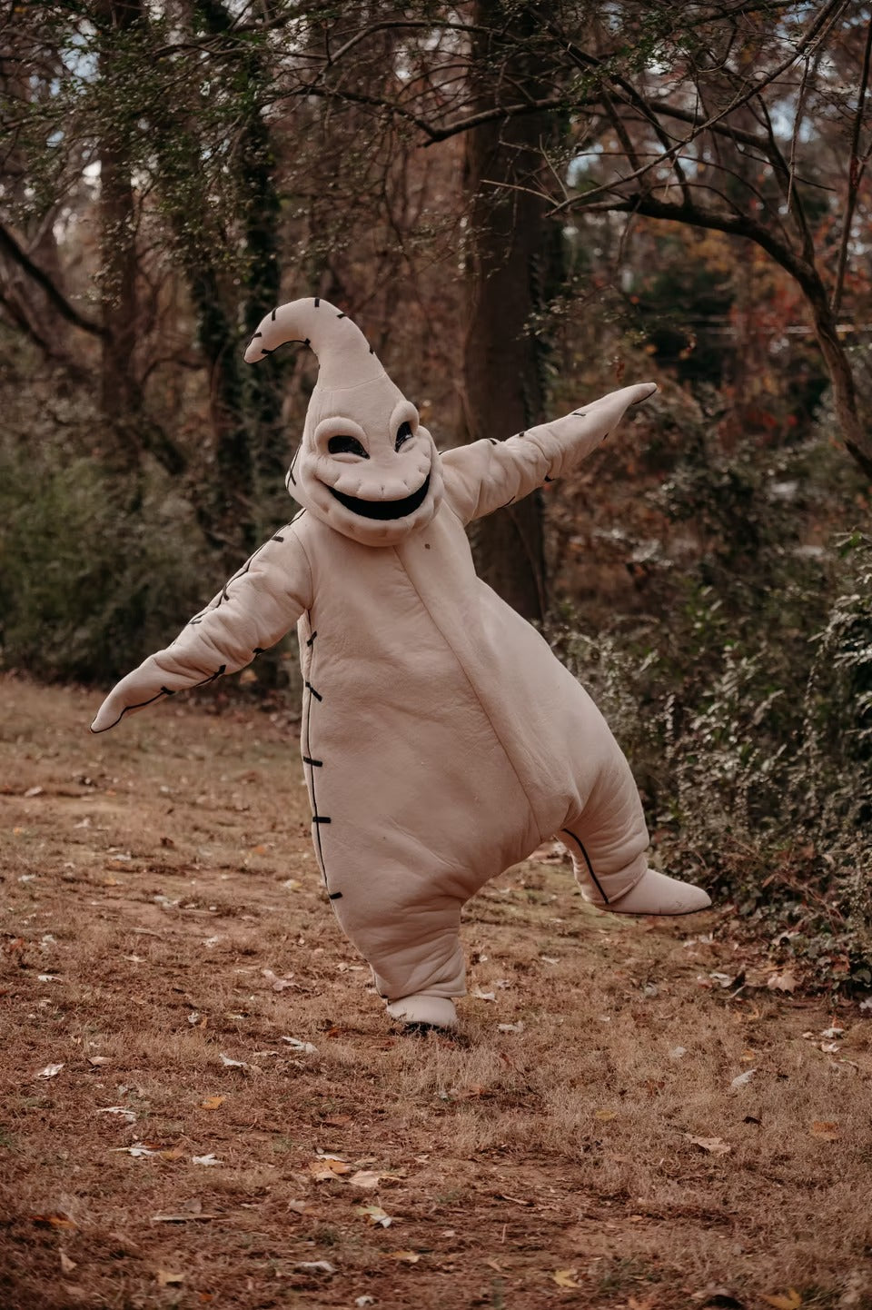 Boogie Monster