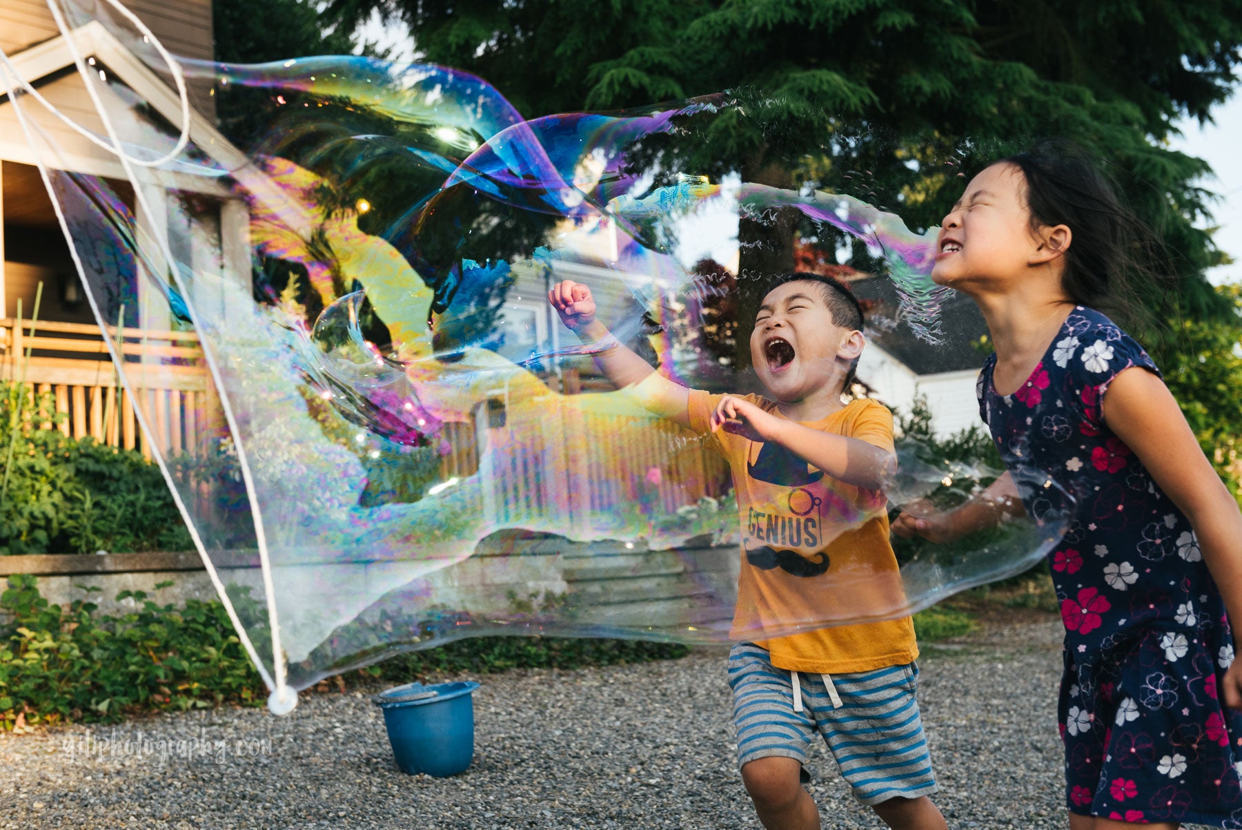 Bubble Show & Play