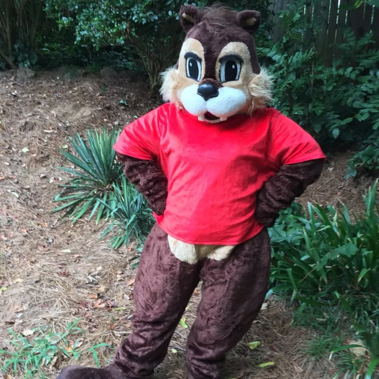 Chipmunk 2 Character Party