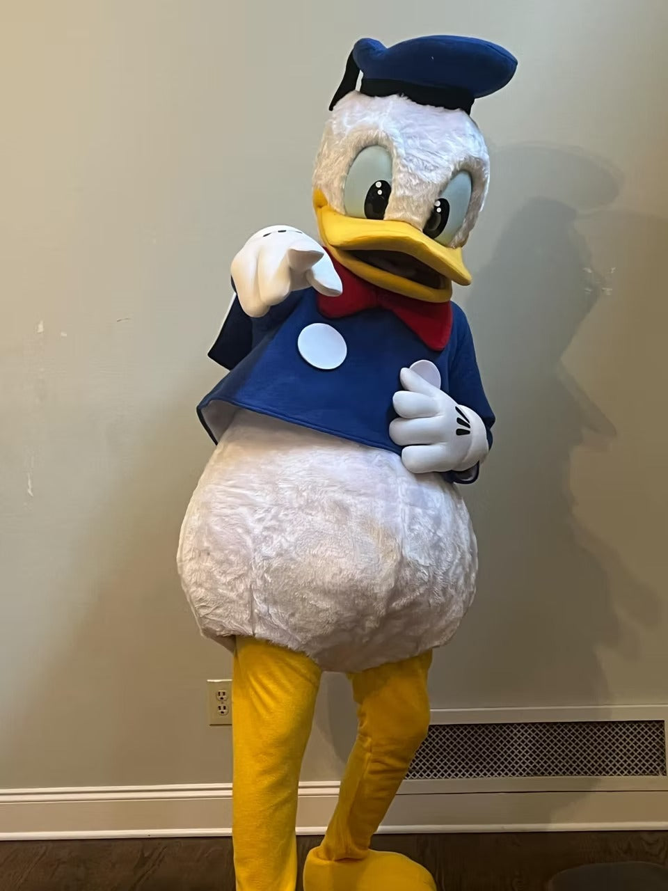 Classic Sailor Duck