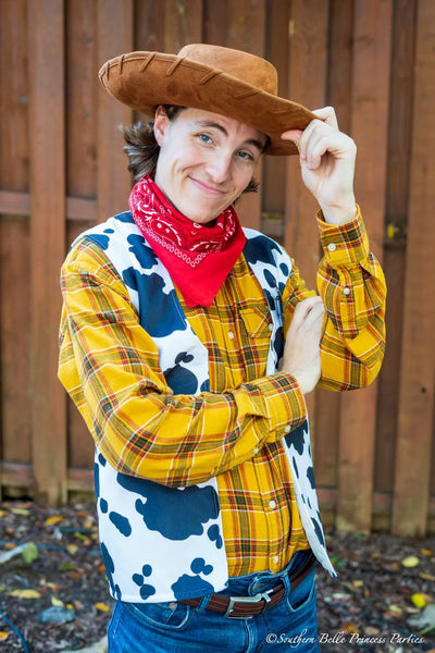 Cowboy Toy Character Party